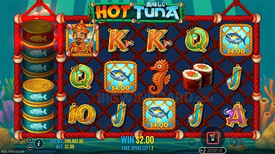 bet100 Understanding Roulette Odds